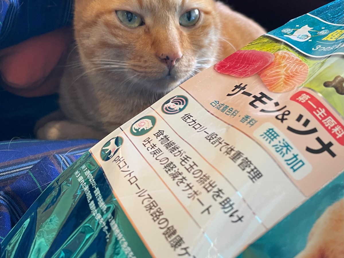 トラきちのごはん：ピュリナワン