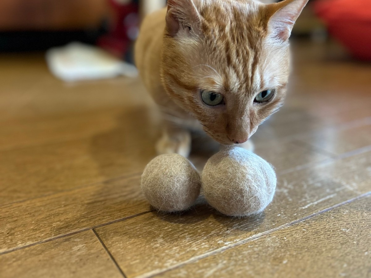猫毛ボール