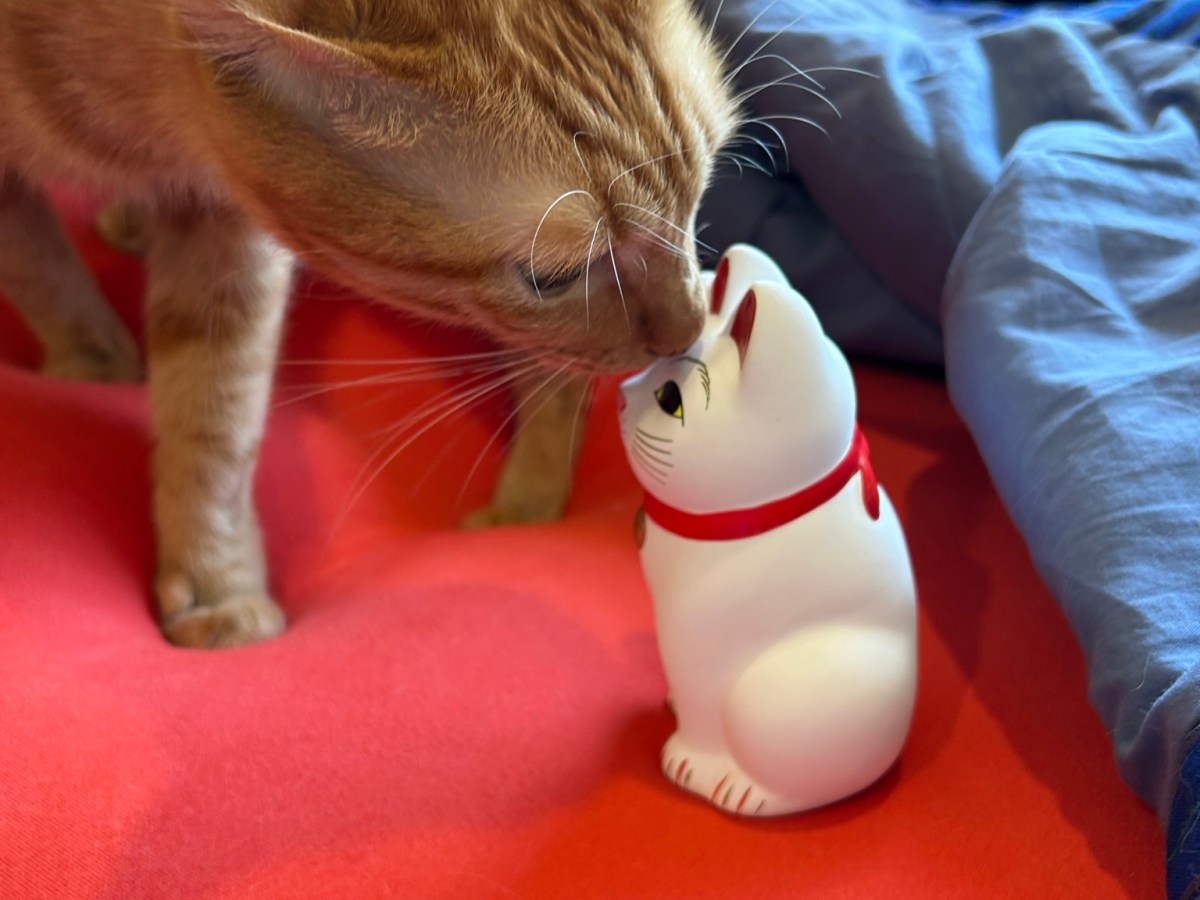 集まってくる猫グッズ