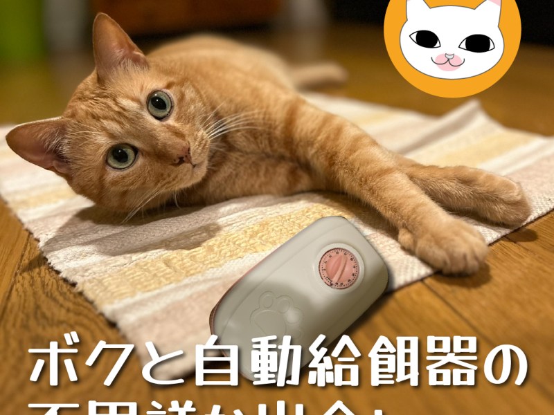 ボクと自動給餌器の不思議な出会い