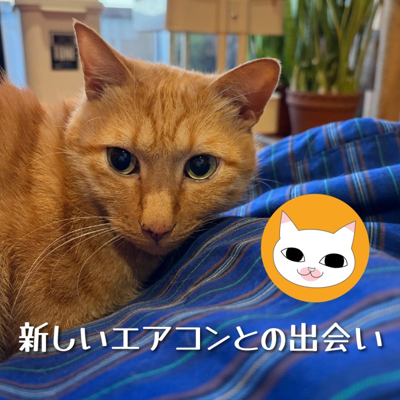 新しいエアコンとの出会い