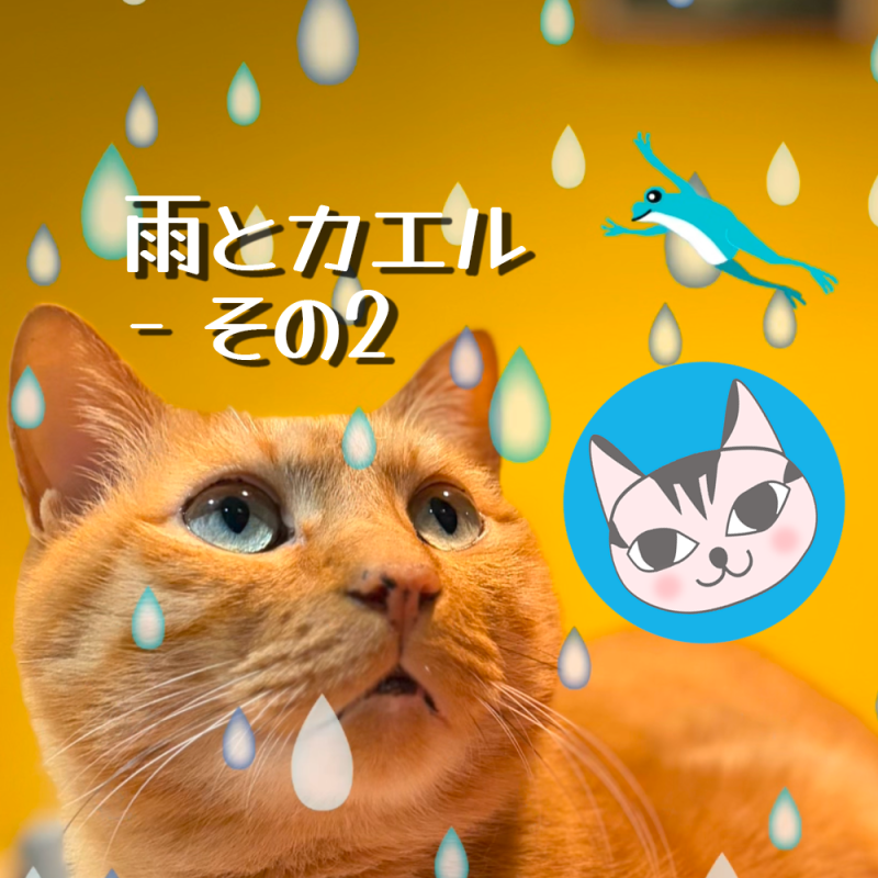 【Ornamenter】雨とカエル – その２