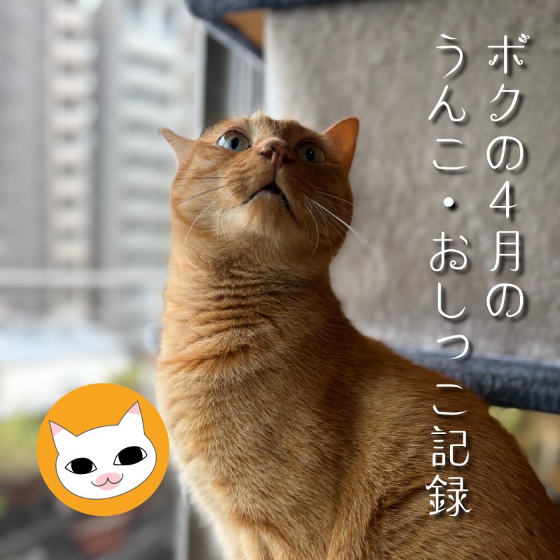ボクの4月のうんこ・おしっこ記録