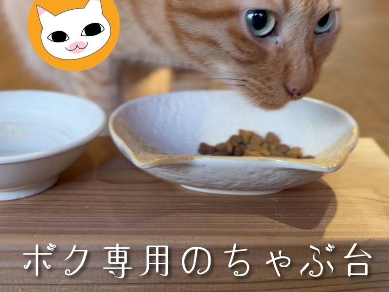 ボク専用のちゃぶ台