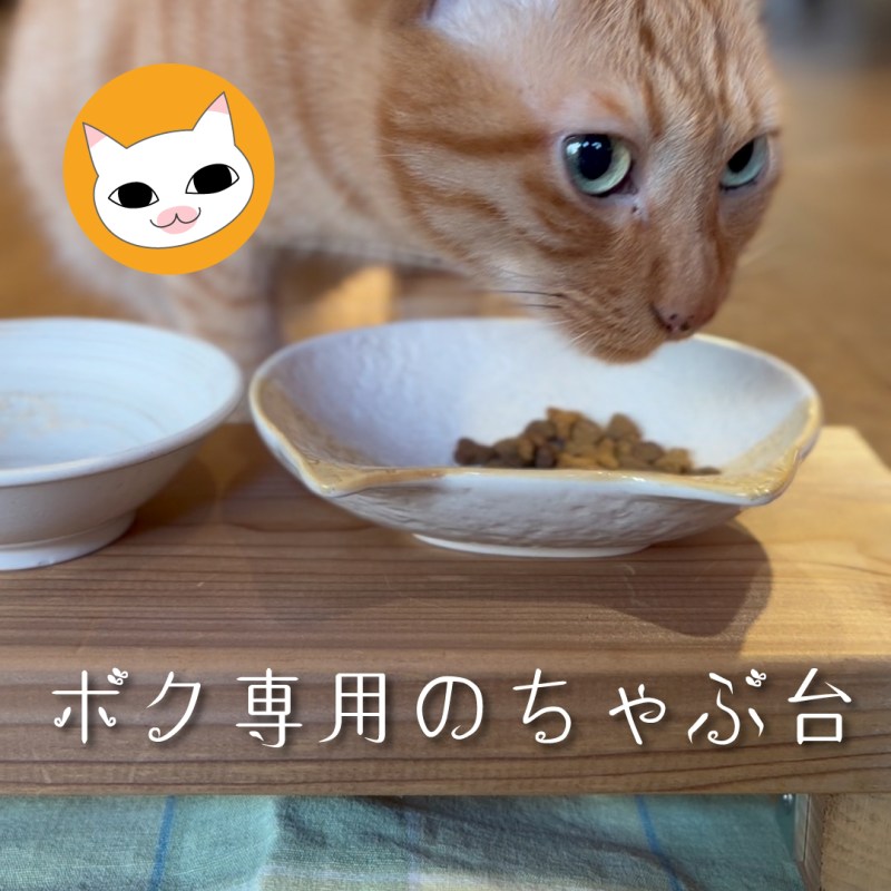 ボク専用のちゃぶ台