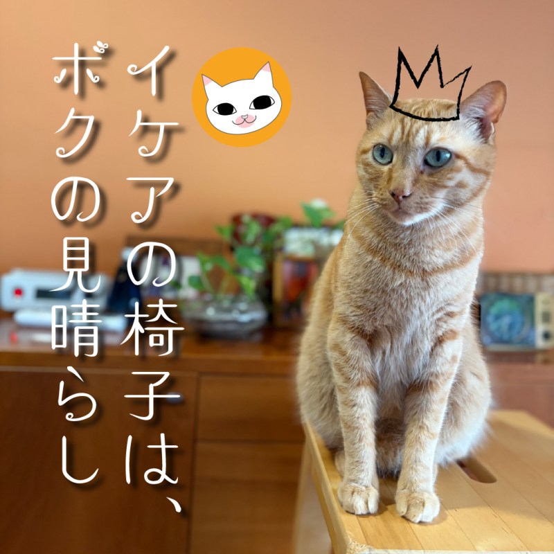 イケアの椅子は、ボクの見晴らし