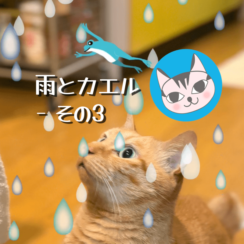 【Ornamenter】雨とカエル – その3