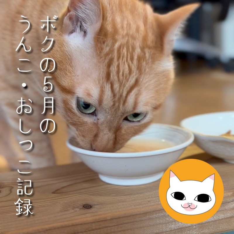 ボクの5月のうんこ・おしっこ記録