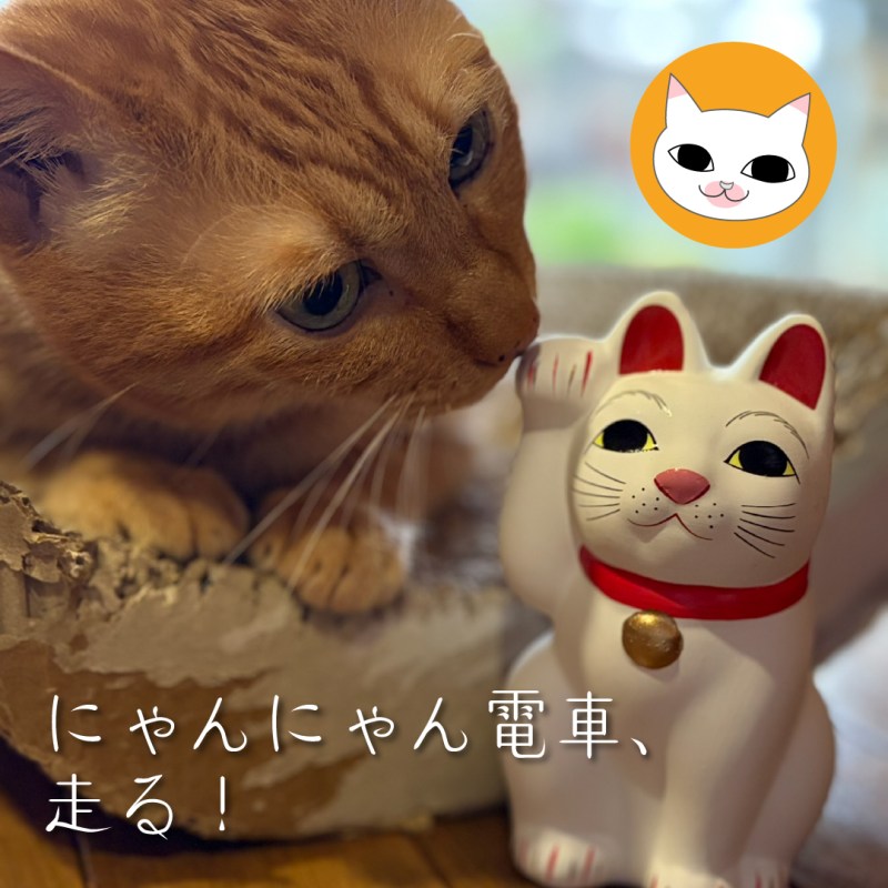 にゃんにゃん電車、走る！