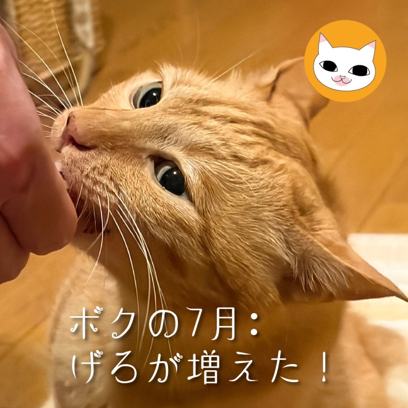ボクの7月:げろが増えた！