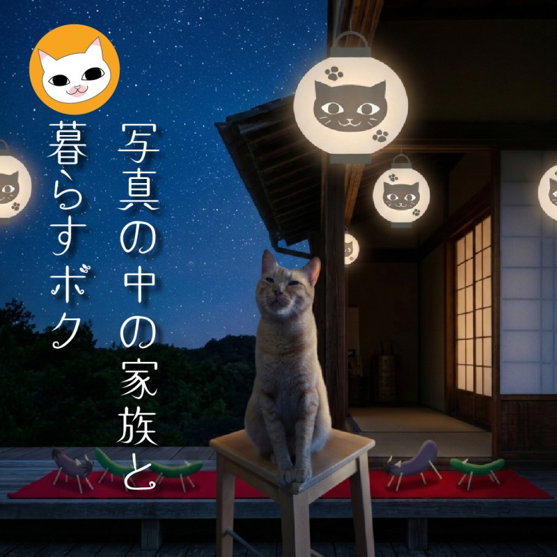 写真の中の家族と暮らすボク