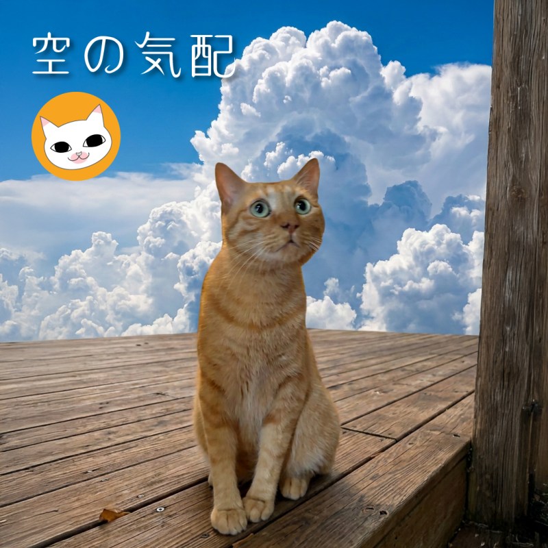 空の気配
