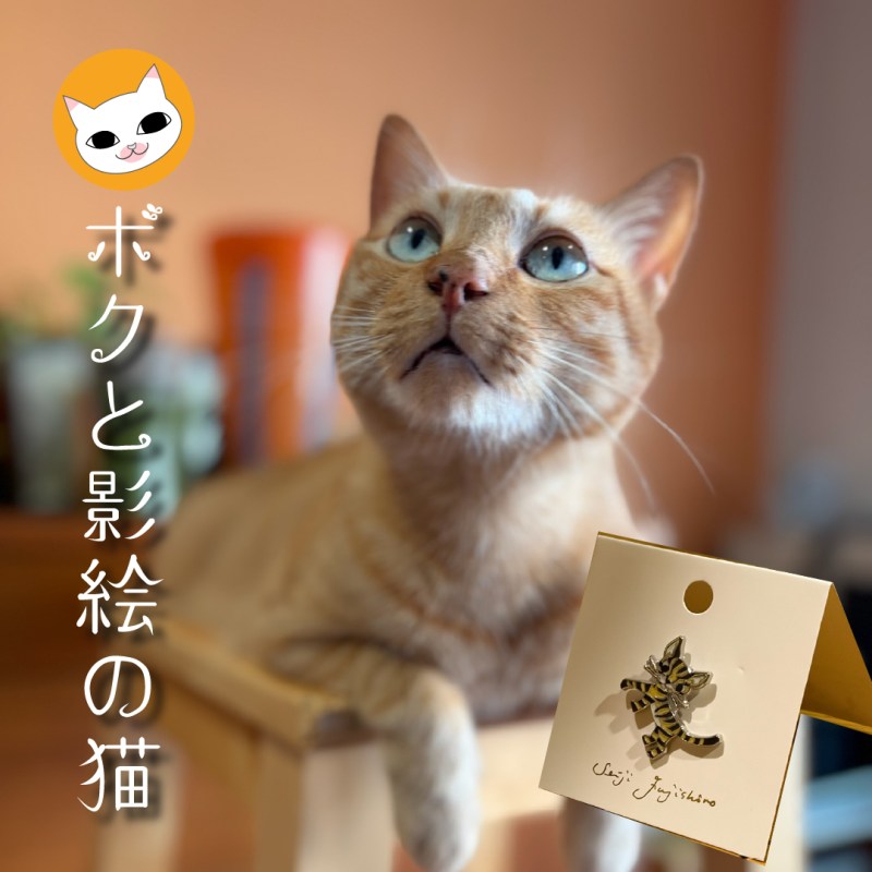 ボクと影絵の猫