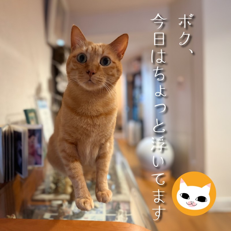 ボク、今日はちょっと浮いてます