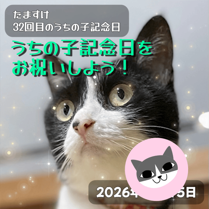 【にゃんデイタイマー】うちの子記念日をお祝いしよう！