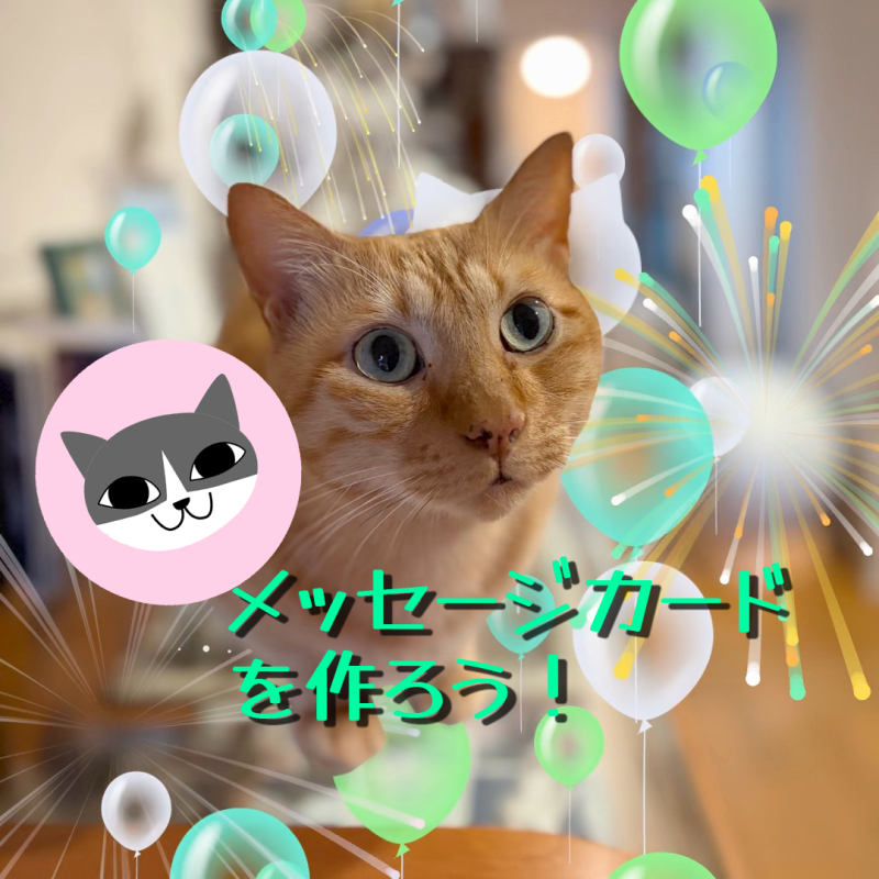【にゃんデイタイマー】メッセージカードを作ろう！