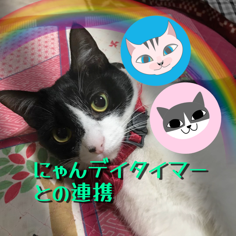 【Ornamenter】にゃんデイタイマーとの連携
